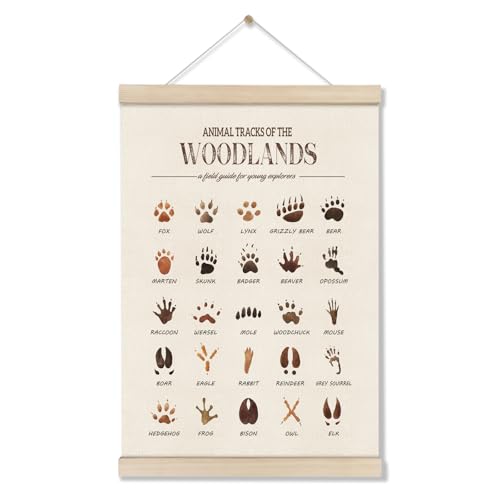 Image of DOI-LANEE Woodland Tracks Poster Hanger Frame, Canvas Artwork Woodland Nursery, Jungle Nursery Decor, Animal Tracks Field Guide Sign, Forest Wall Art, Boy Wall Decor