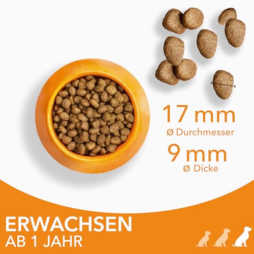 IAMS Hundefutter trocken mit Huhn - Trockenfutter für Erwachsene Hunde ab 1 Jahr, geeignet für große Hunde, 12 kg