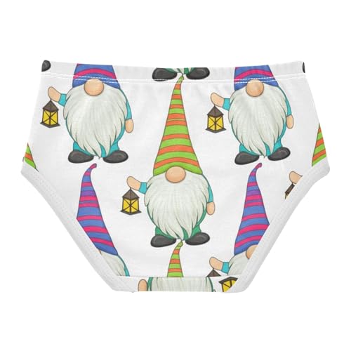 Durable Toddler Underwear Floral 2t Cotton Panties Little Girl Cute Colorful Gnomes White Briefs Underpants2