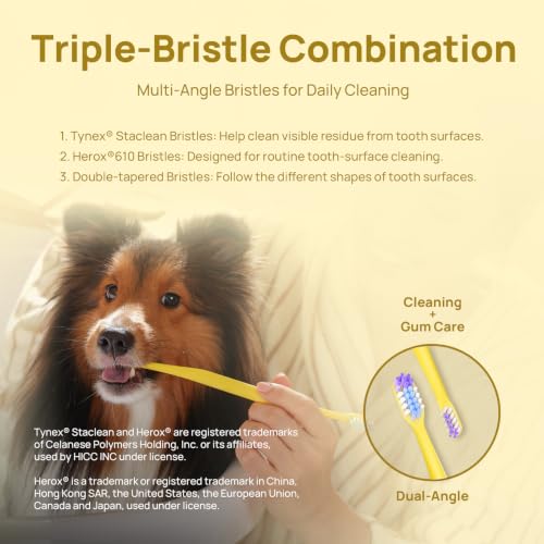 Image of HICC PET Dual-Head Toothbrush for Dogs & Large Cats, Easy Teeth Cleaning | Large and Small Brush Heads with A 16 Handle for Easy Teeth Cleaning for Dogs and Large Cats. Toothpaste Not Included.