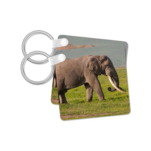 3dRose, African elephant, Ngorongoro Conservation Area, Tanzania., set of 2