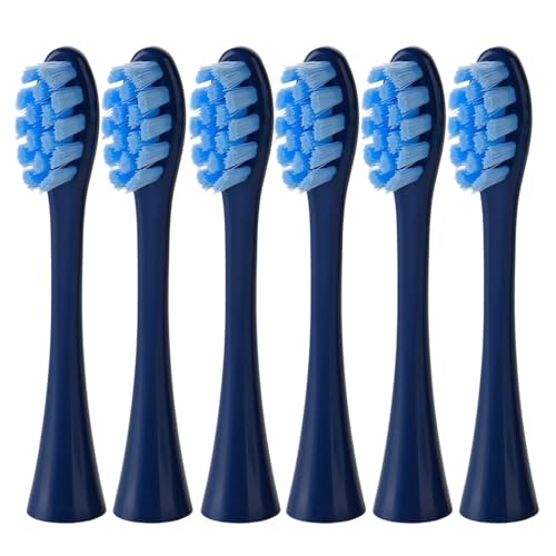 6BduVwbhOne/SE/XPRO/Z1/AIRjo[TpB(DK BU 6Pcs)