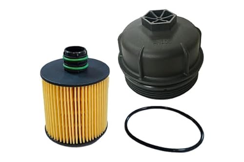 3RG INDUSTRIAL - Kit Tapa Y Filtro Aceite - OEM 71754237 + 55231346 - Piezas para Coche Recambios Motor y Otras Partes de Vehículo - Compatible con los Distintos Modelos de Coche.