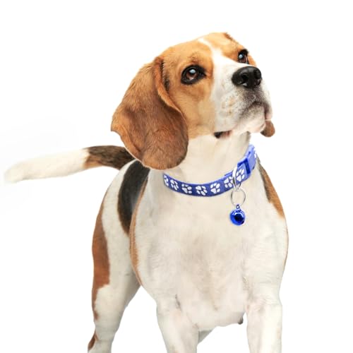 Collares para cachorros ajustables con campana 6 piezas miniatura 4