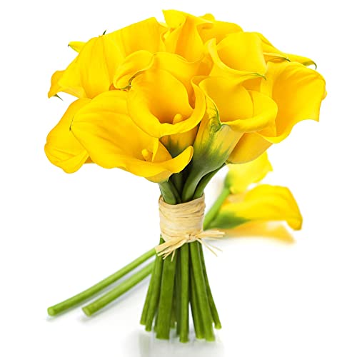 3pcs amarillo encantador tubérculo de lirio de cala Plantado en el área abierta del balcón todos los días variedad flores adecuada Cover