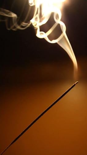 Incense Route 3-In-1 All Natural, Organic & Charcoal Free Premium Incense Sticks With Essential Oils (Aster, Errica & Ellora), 150Gms, 125 Sticks #TOP5