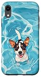 Rat Terrier Summer2024