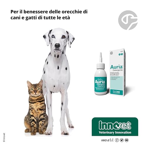 Auria Detergente Auricolare 100 Ml - 6