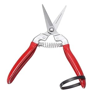 Hand PrunersPruning Shears,Professional Garden Pruning Shears,Garden Grass Cutter Fruit Picking Scissors Gardening Bonsai Branch Pruners Secateur Tools Stainless Steel Pruning Shears (Color : Curved B