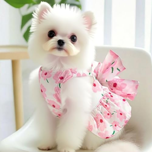 Hundekleid für weibliche Kleine Hunde,Hund Kleider Geschirr und Leine,Dog Kleid für kleine Hunde,Sommerkleid für small Haustiere,Mädchen-Hundekleid für Kleine,Mittelgroße Haustiere (L)