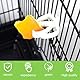 SGERUFZ 8 Stück Kunststoff-Vogelkäfig Feeder Clip, Papageien-Obst Gemüse-Clips, Vogelkäfig Zubehör für Wellensittiche, Sittiche, Kakadu, Aras, Nymphensittiche