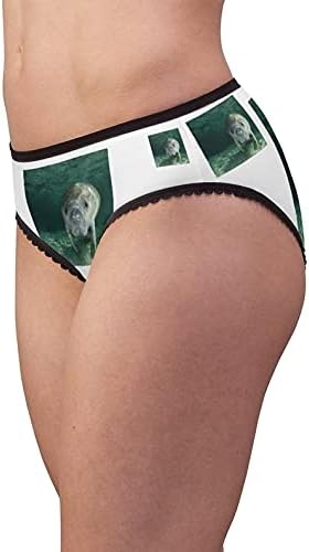 Manatee Portrait Panties, Manatee Portrait Underwear, Briefs, Cotton Briefs, Funny Underwear, Panties For Women