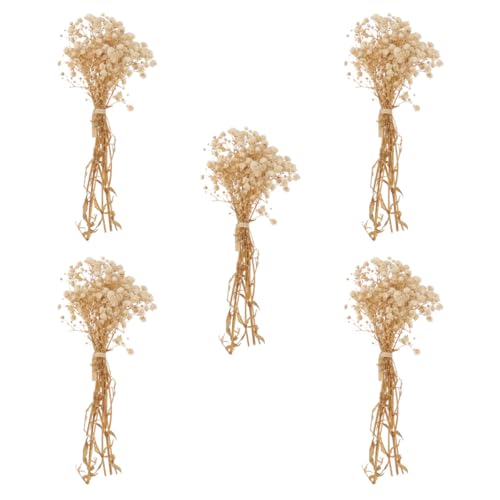 Set de 5 ramos naturales de flor seca gypsophila 12cm miniatura 1