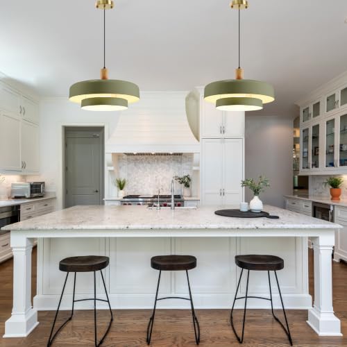 Image of Olive Green Pendant Light, Wood Accent Adjustable Hanging Lamp