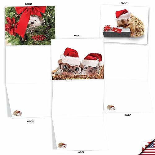 Image of The Best Card Company - 10 Assorted Blank Christmas Greeting Cards w /Envelopes, Animal Humor Variety Pack for Men and Women, Men and Women (10 Designs, 1 Each) - Holiday Cards from the Hedge M6541XSB