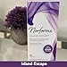 Norforms Feminine Deodorant Suppositories, Long Lasting Odor Control, Island Escape Scent, 12 Count Deodorant Suppositories in Each Box (Pack of 3)