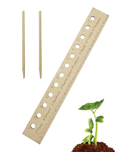 Regla y dibble de madera para jardinería miniatura 1