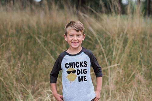 7 ate 9 Apparel Boy's Dinosaur Little Brother Grey Baseball Shirt T-Shirt3