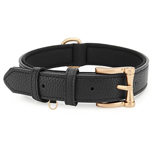 Collar de Cuero para Perro Padded Negro XL