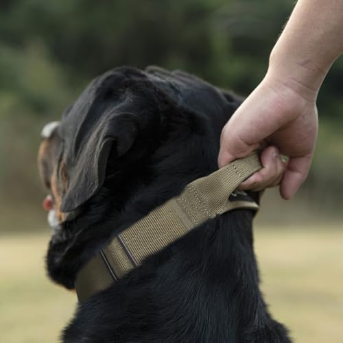 TSPRO Premium Hundehalsband mit Griff Dickes Verstellbares Taktisches Hundehalsband Schwere Ausführung Schnellverschluss Metallschnalle für Mittelgroße bis Große Hunde (Leopardenmuster M)