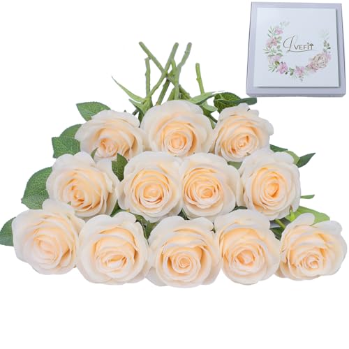 LVEFIT Artificial Rose Flower Artificial Flowers Flower with Long Stem Silk Roses Bouquet for Wedding Bridal Shower Party Home Decoration (Champagne, 12 Pcs)