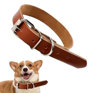 Generisch Lederpuppenkragen KJ9FW16 Hundehalsband