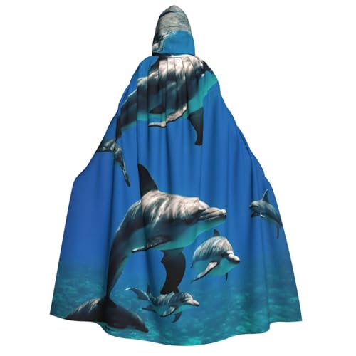 Cape dauphin festival et carnaval longue tenue de fête à capuche pour cosplay