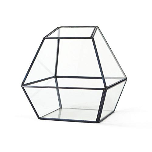 Terrariums Square Modern Artistic Clear Geometric Glass Terrarium For Home Decoration Size Small Terrariums Gardens Under Glass (Color : Black, Size : 15X15X14.5Cm) #TOP4