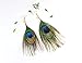 F&U Peacock Feather Dangle Drop Earrings Indian Style for Women
