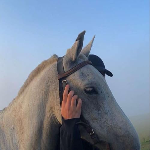 S1E1 - Surah Al-Fatihah (The Opener)