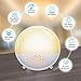 Erauh Smart Wake Up Light, Sunrise Alarm Clock Compatible with Alexa/Google, 7 Colors Sunrise Simulation and Sunset Fading, 4 Alarms/FM Radio/ Snooze Night Light for Kids Adults Bedroom (WiFi)