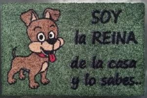 PASO - Felpudos Entrada a casa Originales y Divertidos - Interior y Exterior – Fibra 100% Poliamida y Base Antideslizante - Frases ingeniosas: Soy LA Reina DE LA CASA Perro (Verde)