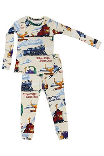 Books to Bed Boys Pajamas Steam Train, Dream Train Dinosaur Pajamas and Animal PJs Set for Toddler Big Boys Summer Kids Boy Shark Dragons Sets Sleepwear Big Clothes Family Clothing Size 4t