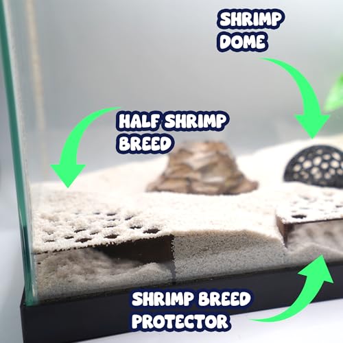 Image of CTWPets Shrimp Breeding Protection Set, 3-Pack Bundle with Hide Dome, Half Protector, Breeding Protector (Black)