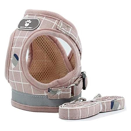 pro plan lite snackers