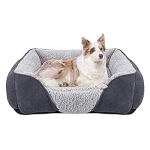 JOEJOY Hundebett Mittelgroße kleine Hunde Hundekorb Waschbar – Flauschig Hundebetten, rutschfest Hundekorb Hundesofa, Kuschelig HundeköRbchen für Hunde und Katzen(M 63×53×20 cm)