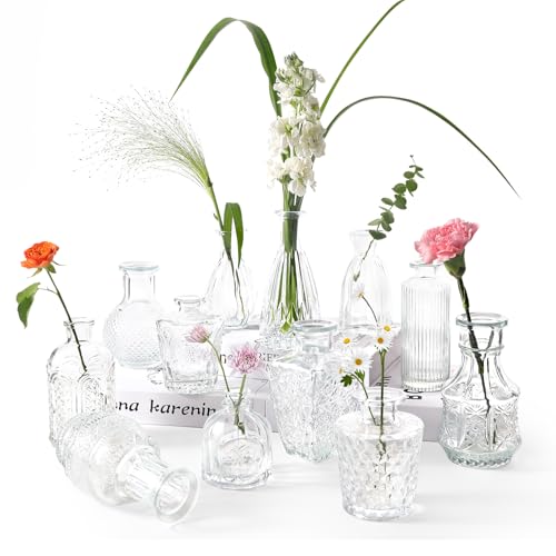 Votoko 12 Pezzi Vaso di Fiori Piccolo, Set di Mini Vasi in Vetro Vintage Vaso Decorazioni, Trasparente Vaso Vetro per Rose Pampa Erba, Feste di Casa Decorazioni Centrotavola Matrimonio