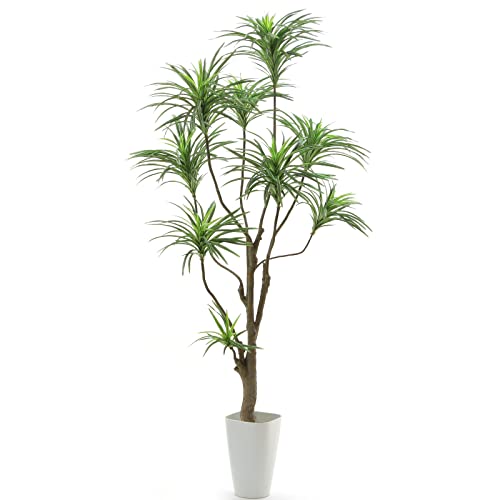 ԃhbgR  _`^ G} L tFCNO[ u hZi RVl RVi 9} 180cm 85cm s80cmv yX}[g|bgtz ͎O\  lH ϗtA ϗt tFCN O[ Ce