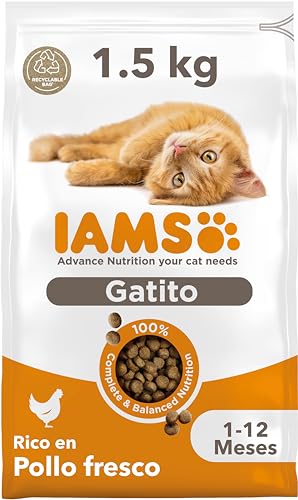 IAMS Alimento seco para gatitos junior de 1-12 meses con pollo fresco, 1,5 kg