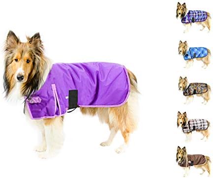 purple dog coat