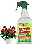 Rose Protection Spray 500ml – Ready to Use Natural Plant Protection for Roses – Controls Aphids, Greenfly, Spider Mites, Whitefly, Mildew & Black Spot – Biodegradable Rose Care Spray