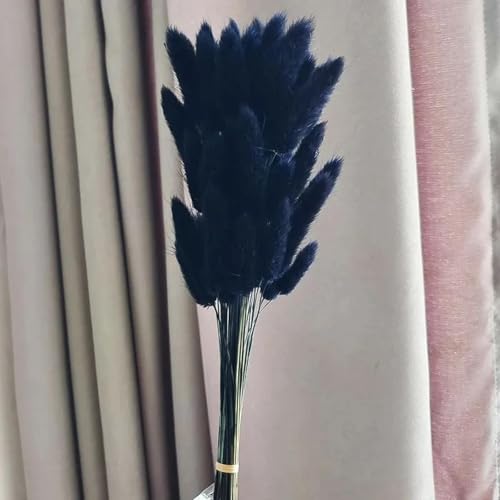 Decoración de Pasto Pampas Seco 100 Piezas Negro
