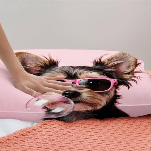 Housse de couette microfibre légère parures de lit 240x260 cm chien