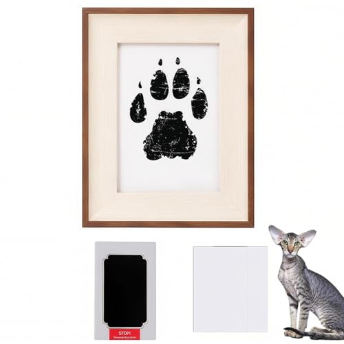 Lifetips IG^V[gwA Oriental Shorthair ybgp  X^v Lbg ^  ``X^v `쐬Lbg LO  Ȃ `    ` ^ ȒP S y Ճpbh 