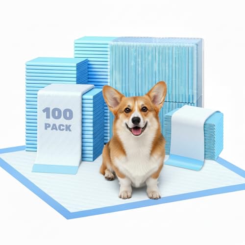 Image of FluffyDream Super Absorbent Waterproof Dog and Puppy Pet Training Pad, Housebreaking Pet Pad,Blue (22 inchx22 inch(100PCS))