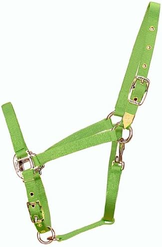 Lichette Nylon Hamilton Pour Poulain - 100-200 Lbs (45-90 Kg) - Violette