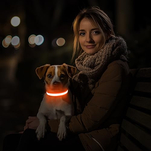 Hundehalsband Leuchtend USB Aufladbar - Leuchthalsband Hund 7 RGB Farbwechsel mit 8 Leuchtmodi, Dickes Verstellbares LED Hundehalsband Wasserdicht für Kleine Mittlere Große Hunde Leuchtendes Halsband