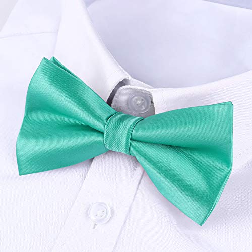 Image of HISDERN Bow Ties for Men Pretied Bowties Classic Formal Business Bow Tie Adjustable Tuxedo Bowtie for Wedding Party