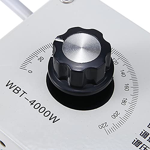 1 contrôleur de tension variable 4000 W AC 220 V avec adaptateur pour variateur de vitesse du ventilateur pour outils domestiques