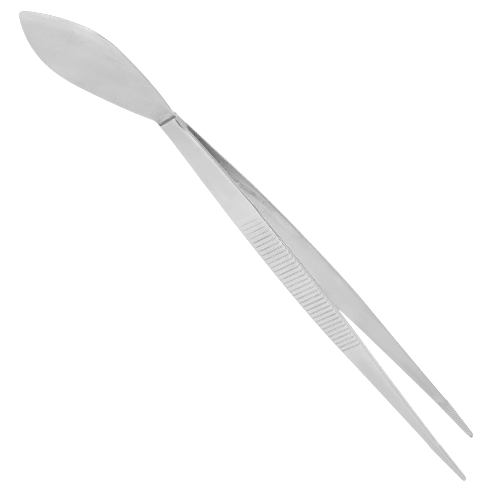 Toddmomy 4 Pezzi Pinzetteri pinzette dritte pinzette per spatole per bonsai pinzette per piante attrezzi per bonsai pinzette per modellare Must Garden Tintezers Acciaio inossidabile Argento